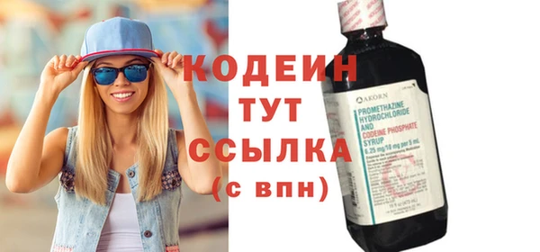 гидра Богданович