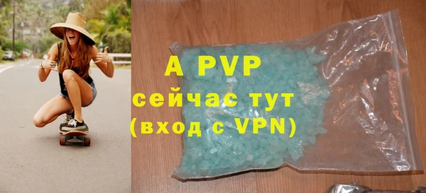 спиды Богородицк