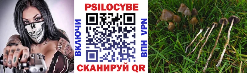 MEGA зеркало  Дмитриев  Псилоцибиновые грибы мухоморы 